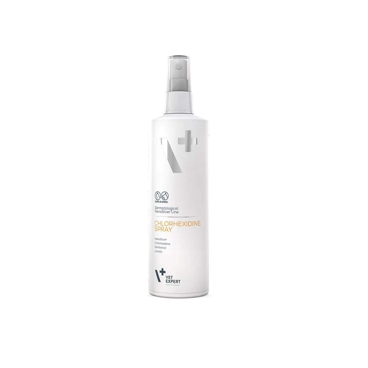 VE CHLORHEXIDINE SPRAY 100ML NANOSILVER - Produkta attēls 